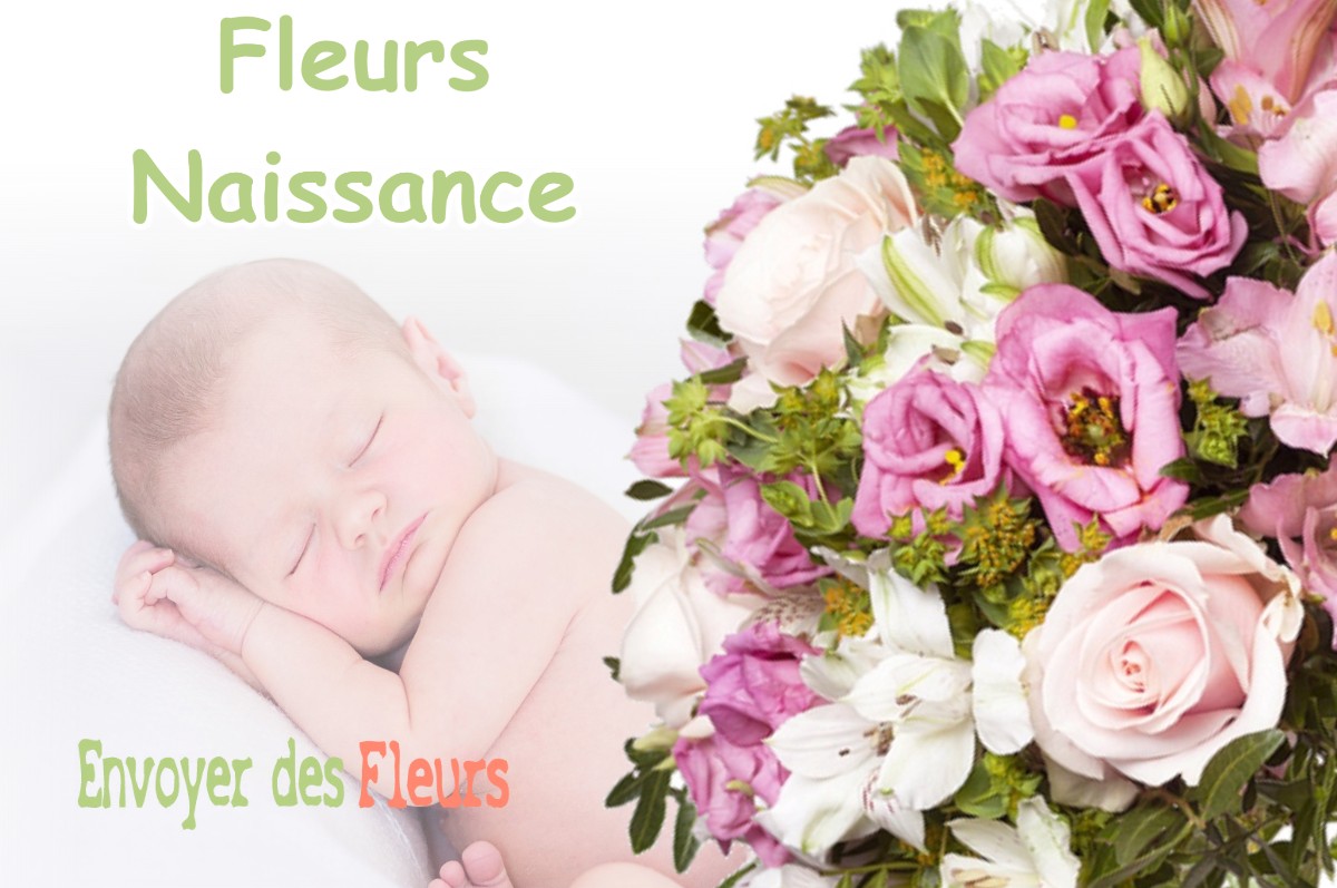 lIVRAISON FLEURS NAISSANCE à BEAUVOIR-EN-ROYANS